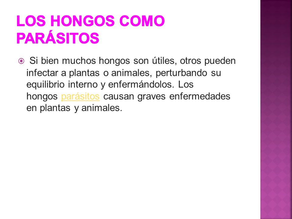 Los helmintos en el hígado que análisis dar
